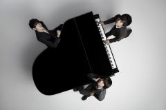 WEAVER �D�y��������