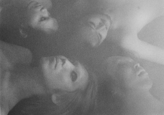 THE NOVEMBERS�D�y��������