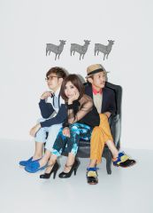 RAM WIRE �D�y��������