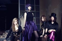 FLiP �D�y��������