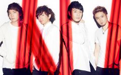 TRIPLANE �D�y��������