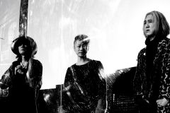 THE GOLDEN WET FINGERS �D�y��������