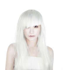 Superfly 2016�N �D�y��������