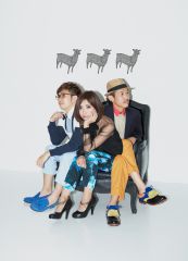 RAM WIRE �D�y��������