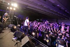 BUZZ THE BEARS �D�y��������