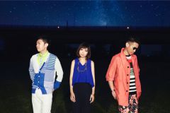 RAM WIRE �D�y��������