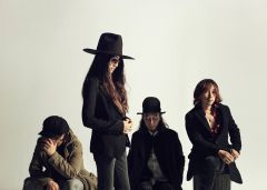 SHERBETS �D�y��������