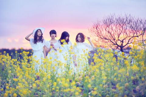 赤い公園マンマンツアー2016|赤い公園