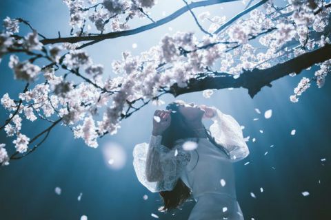 Aimer Acoustic Tour 2020|Aimer【公演中止】