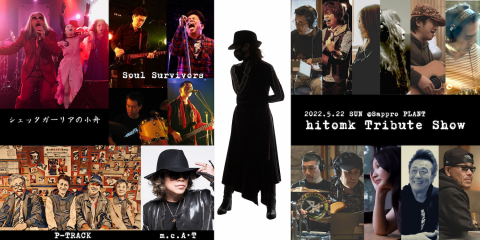 hitomk Tribute Show|hitomk Tribute Show